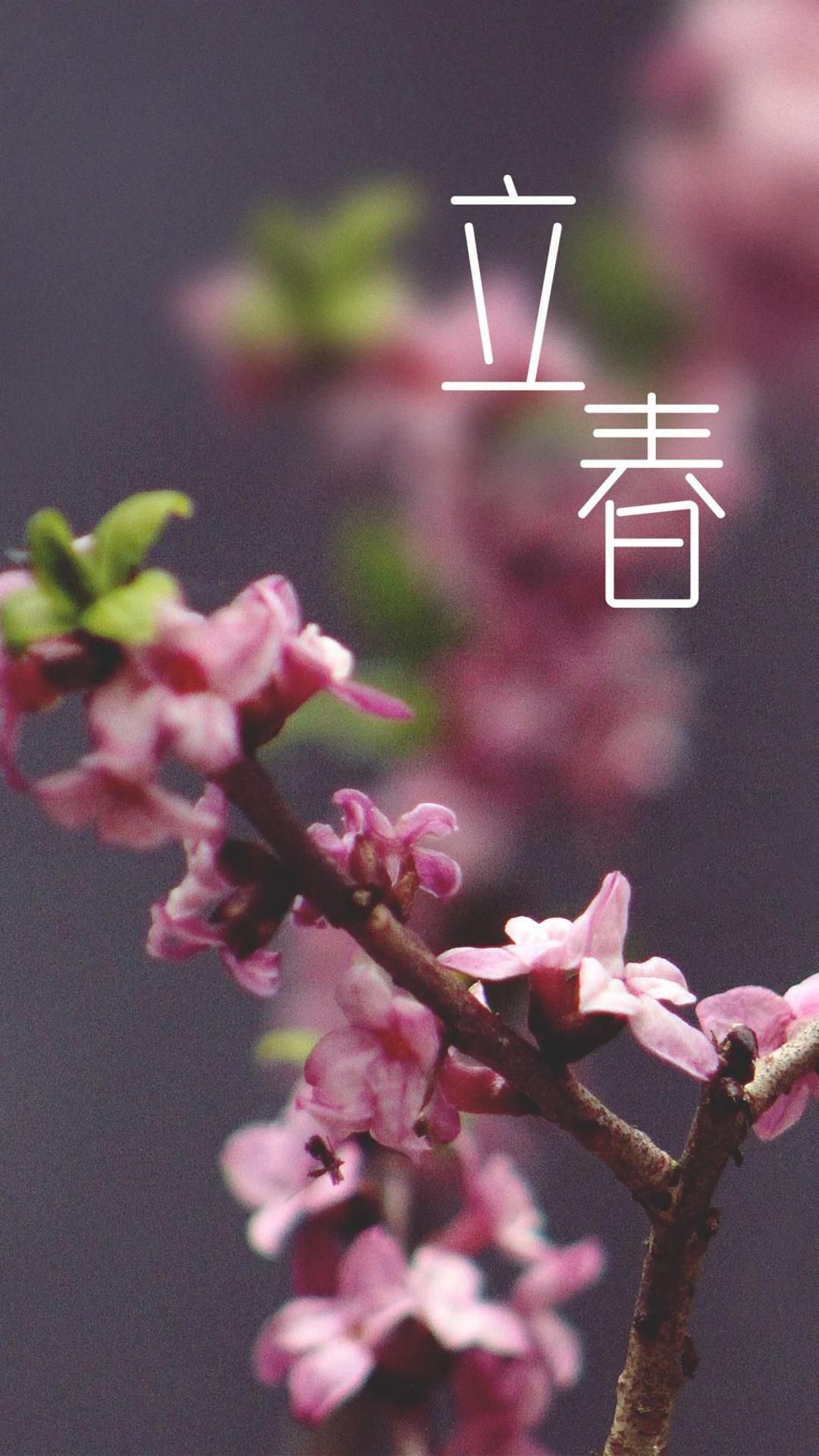 植物立春春天桃花室外盛开摄影图配图高清摄影大图-千库网
