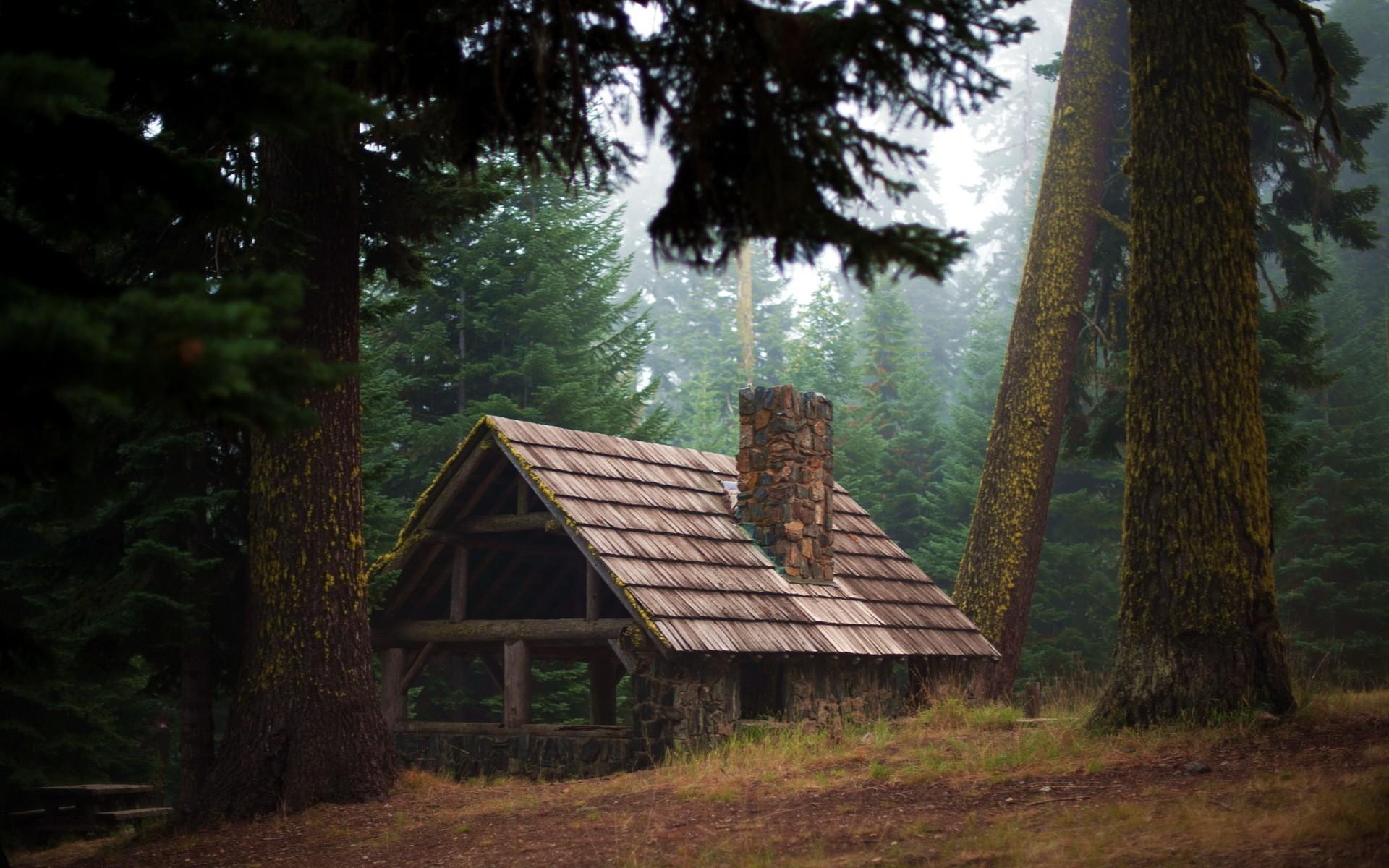 一组绝美的大自然中小木屋欣赏，像小精灵一样隐居起来！ - 普象网
