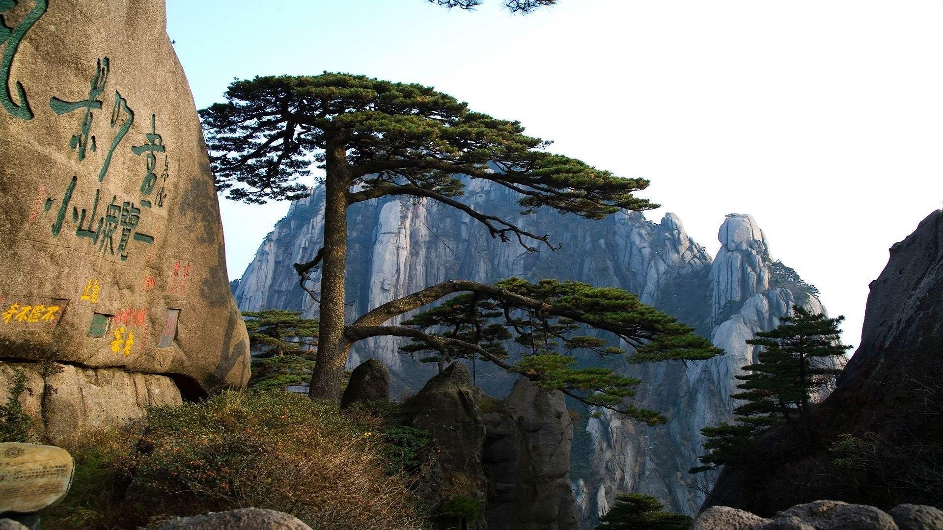 黄山迎客松高清风景壁纸