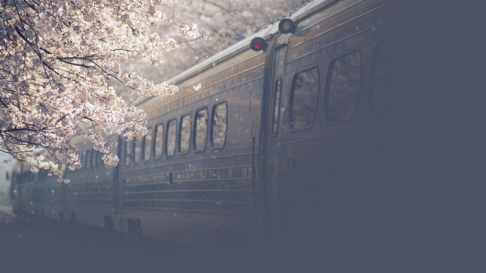 “开往春天的列车”你还记得吗？花海与列车的邂逅，清明时节成就北京最唯美的视野-北京旅游攻略-游记-去哪儿攻略