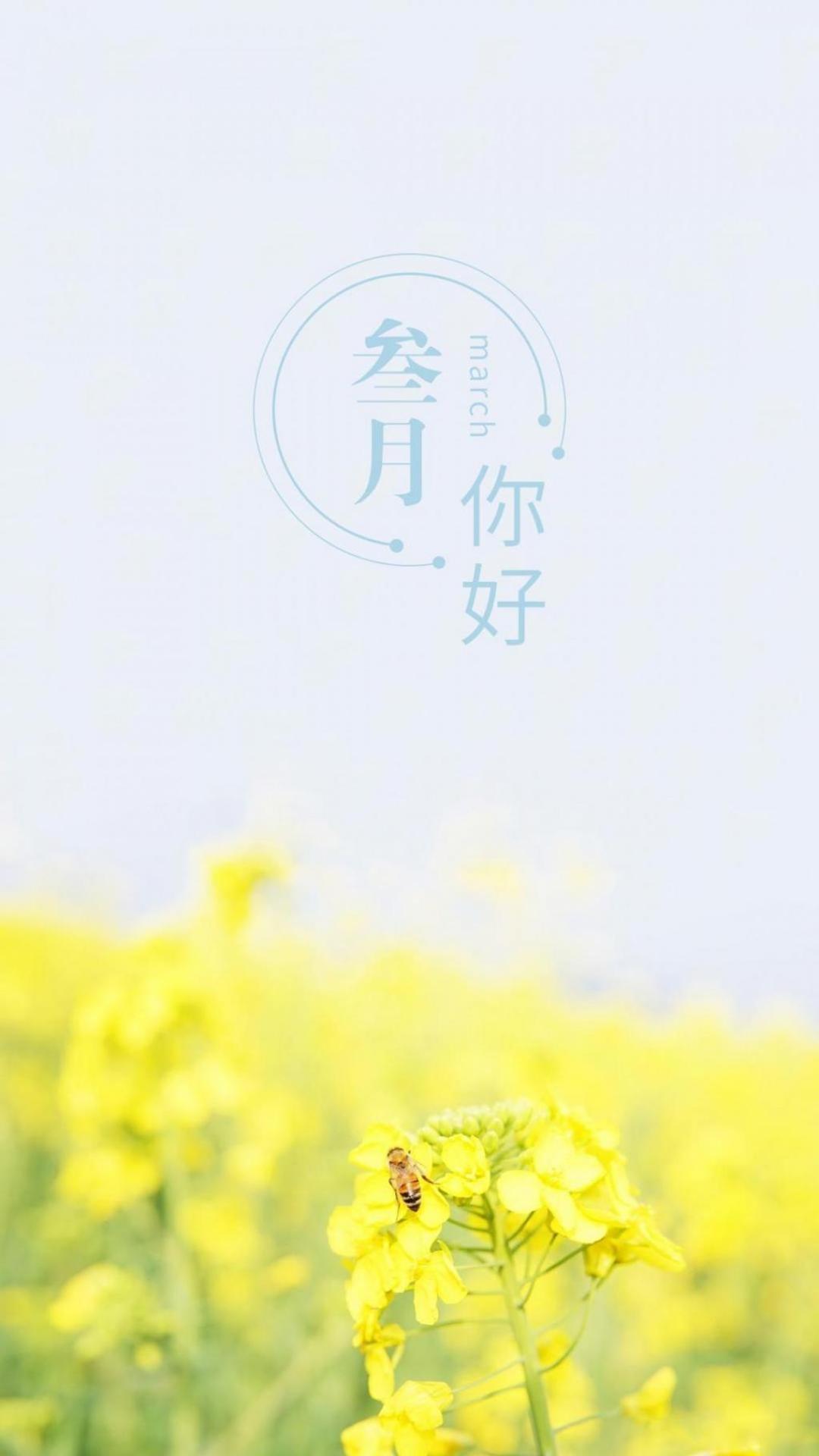 3月，你好|平面|海报|小小瑛 - 原创作品 - 站酷 (ZCOOL)