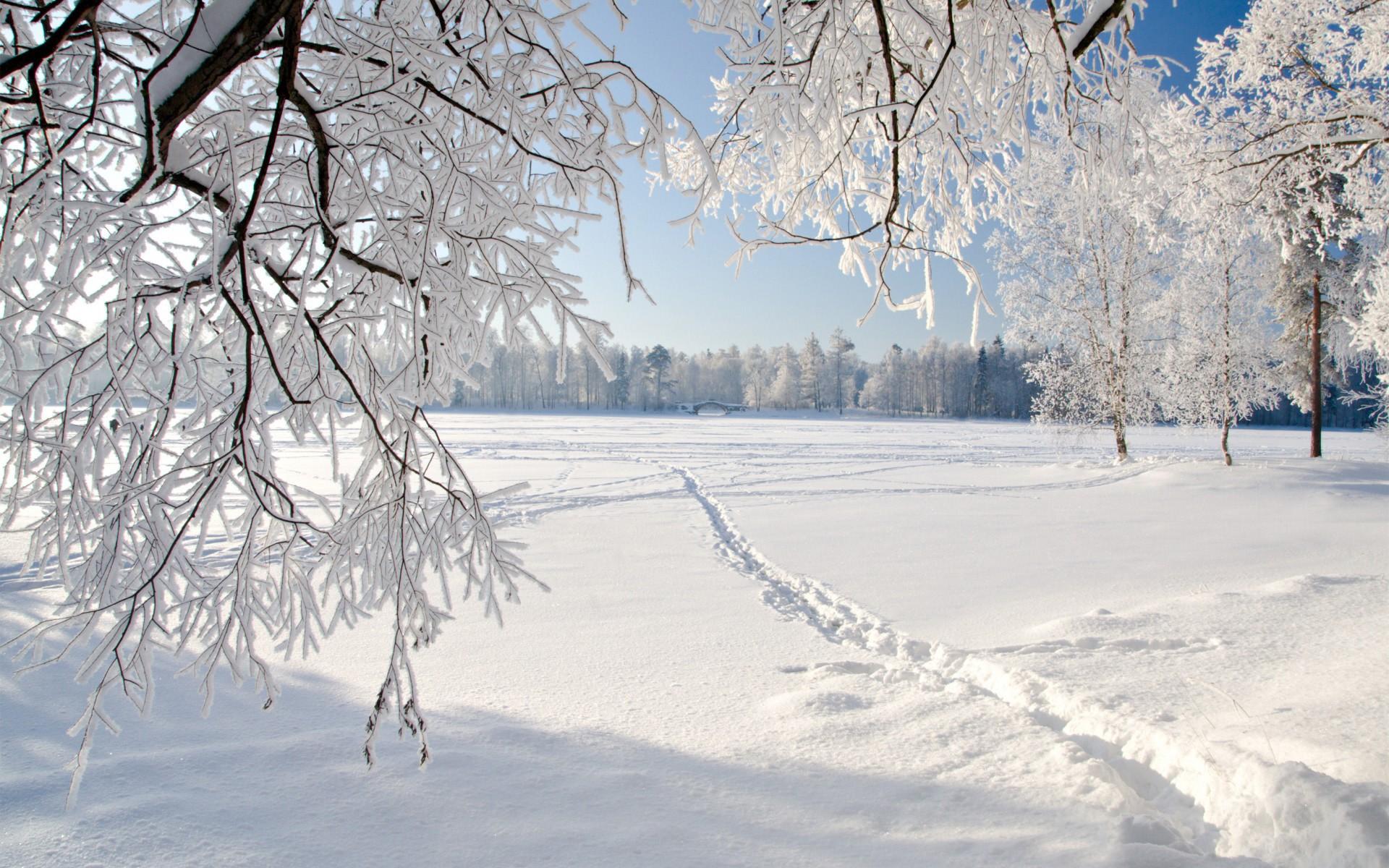 冬天河边雪景桌面背景-壁纸图片大全