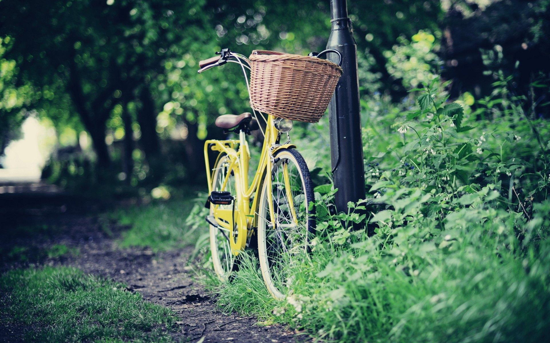 单车自行车主题摄影宽屏壁纸预览 | 10wallpaper.com