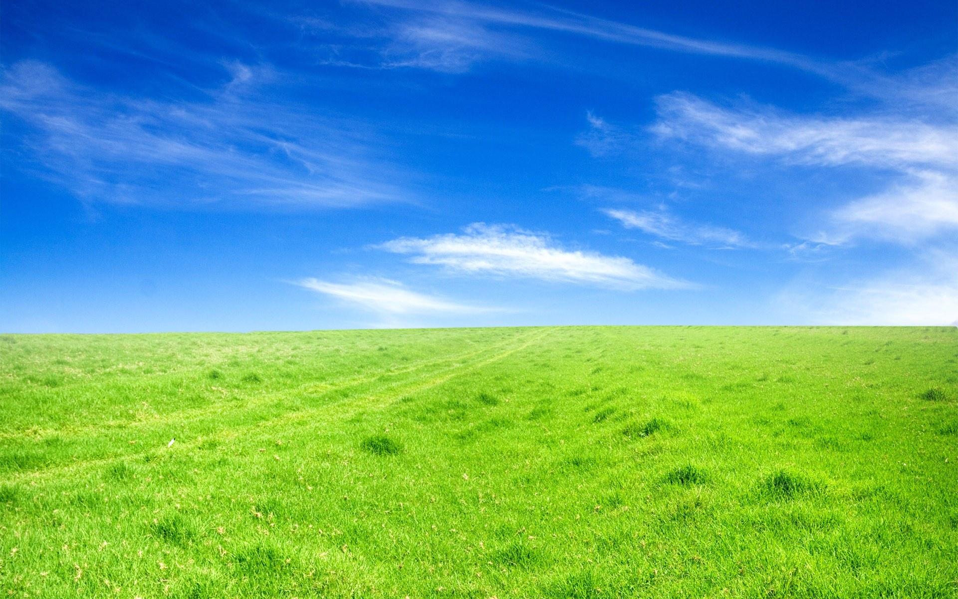 蓝色天空下的绿草草原壁纸