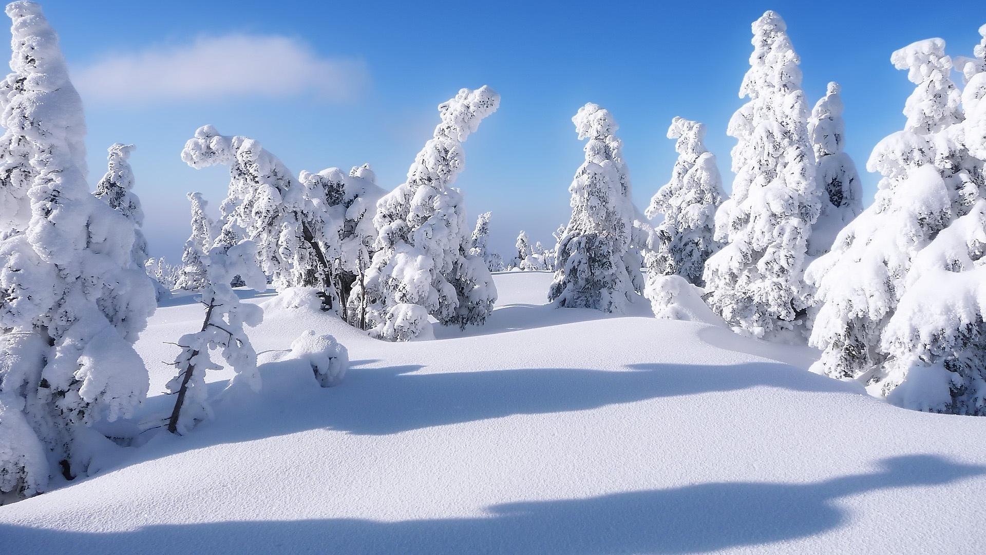 蓝天阳光冬季雪景桌面壁纸-壁纸图片大全