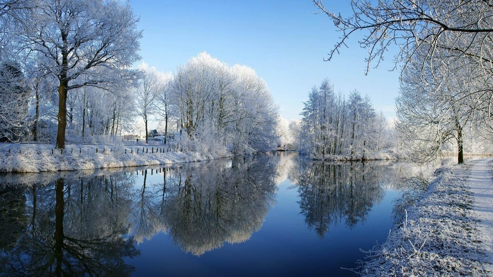 冬天一枝落满积雪的枫叶高清摄影大图-千库网