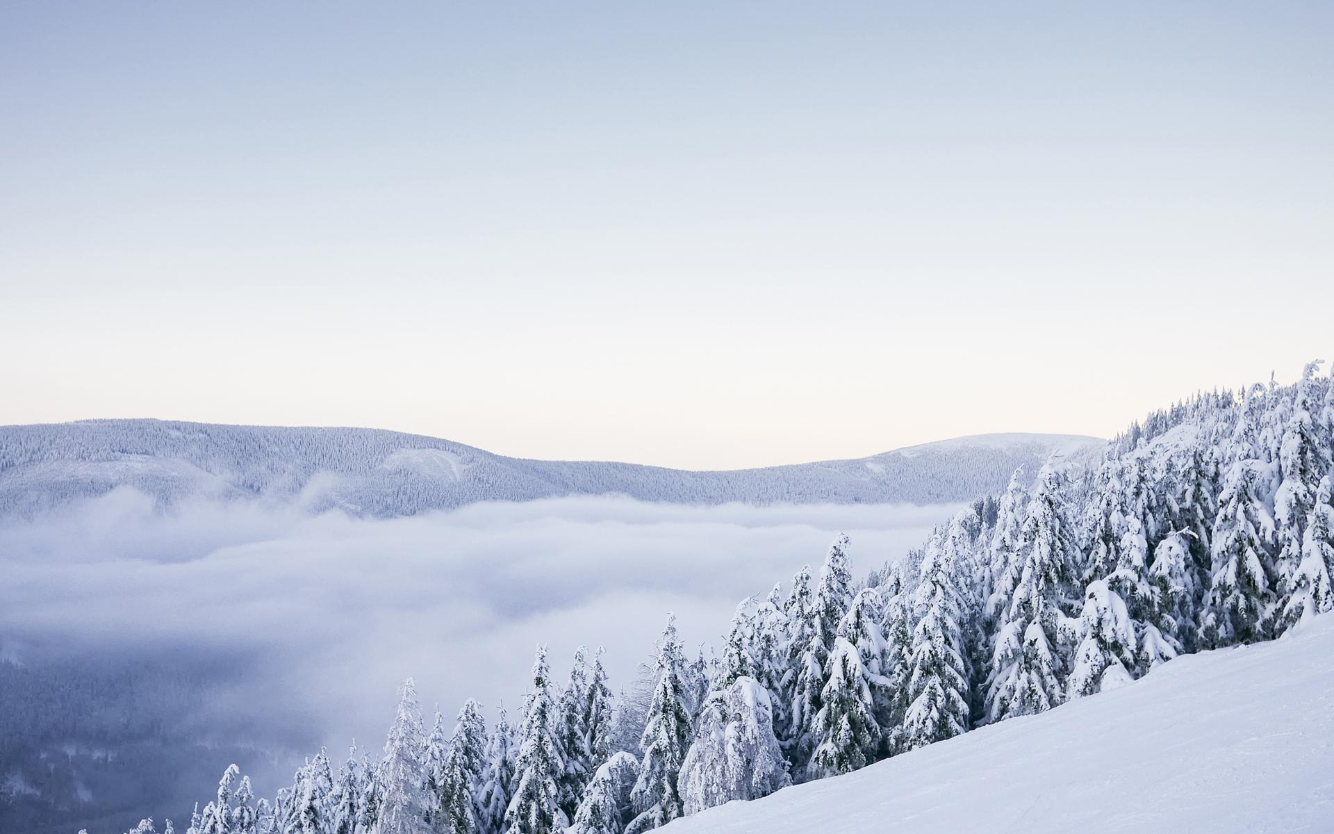 冬季唯美雪景自然风光高清宽屏高清电脑桌面主题壁纸(一)-风景壁纸-手机壁纸下载-美桌网