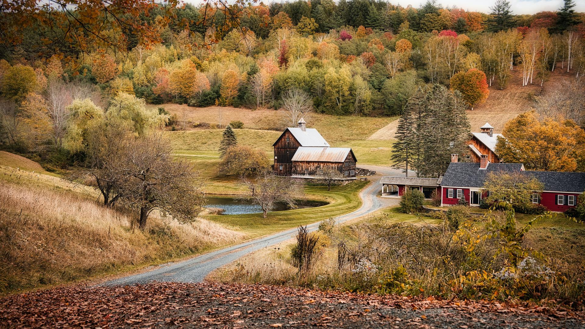 秋天的颜色 树木 山丘 房屋 风景壁纸-壁纸图片大全