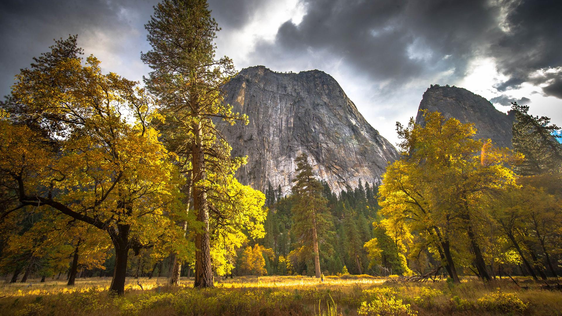 壁纸 湖，树，山，秋天，美国，大提顿国家公园 1920x1200 HD 高清壁纸, 图片, 照片
