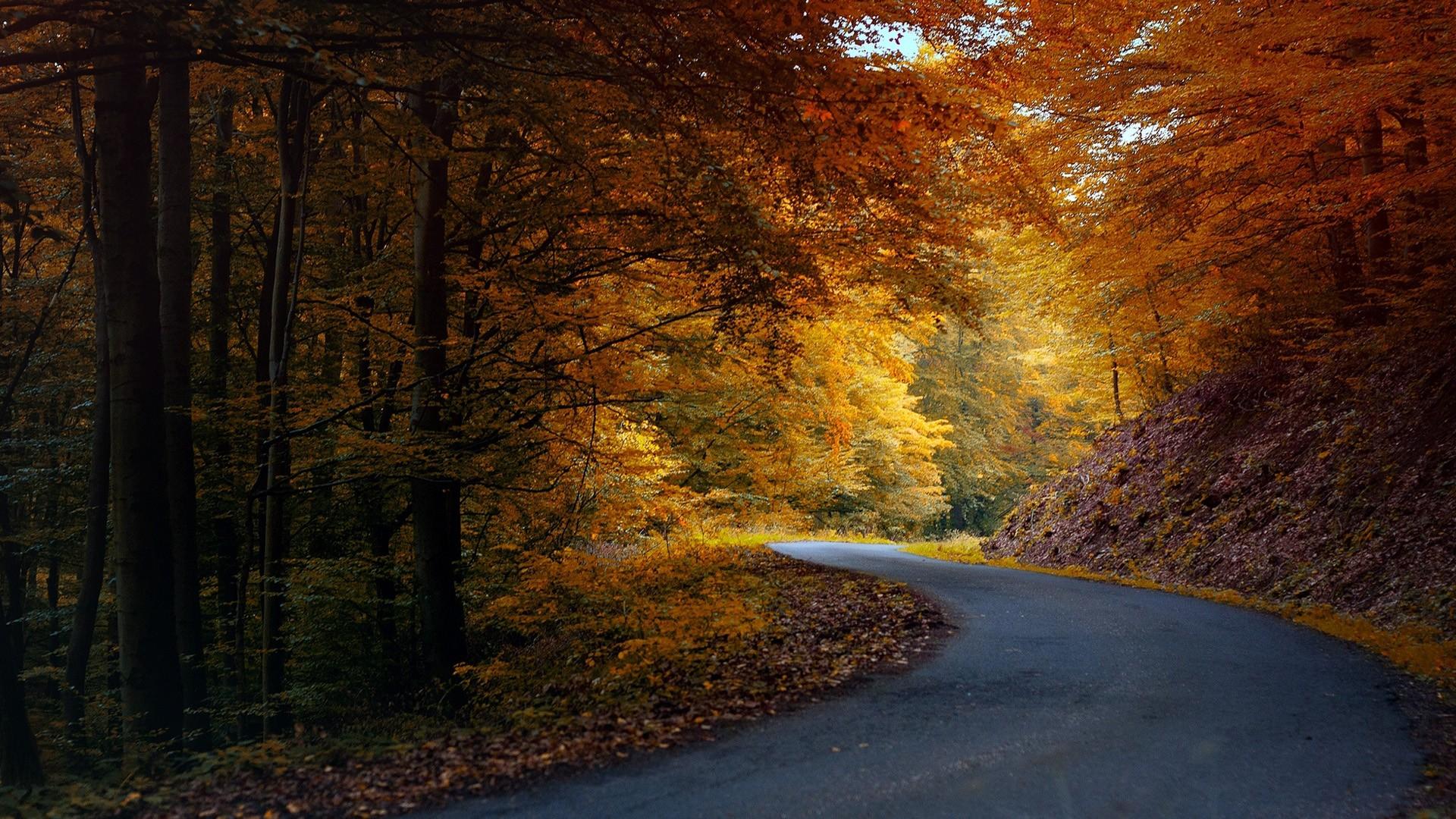 秋天道路唯美风景壁纸-壁纸图片大全