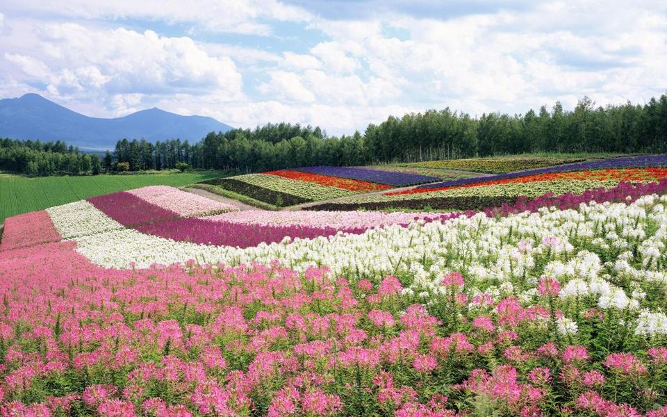 北海道风景桌面壁纸