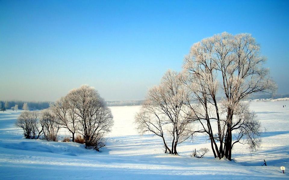 寒冬野外美丽的雪景高清壁纸