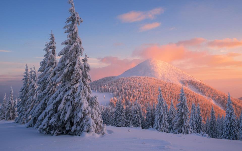 冬天雪景自然风景桌面壁纸