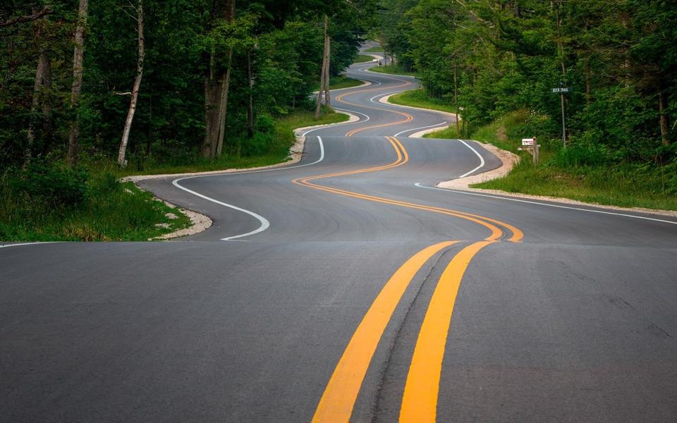 森林蜿蜒远方向前的道路图片高清壁纸