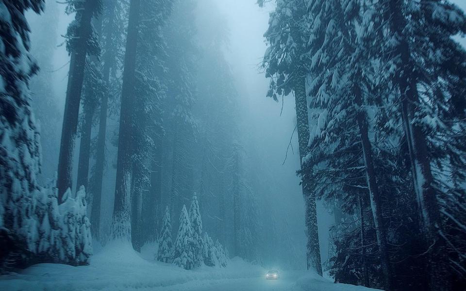 雪天中行驶在森林道路上的汽车风景桌面壁纸