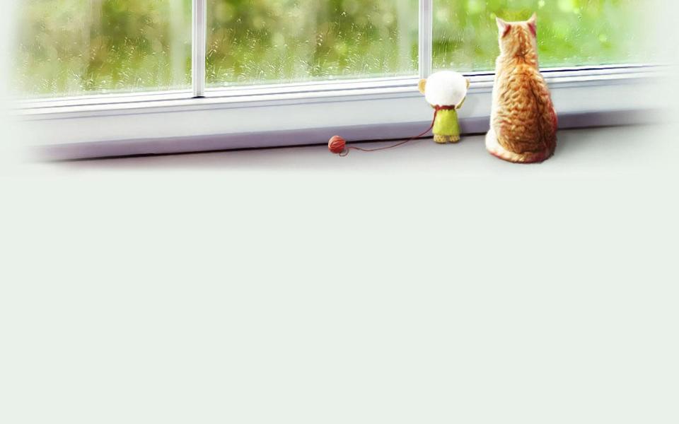 小猫凝望壁纸