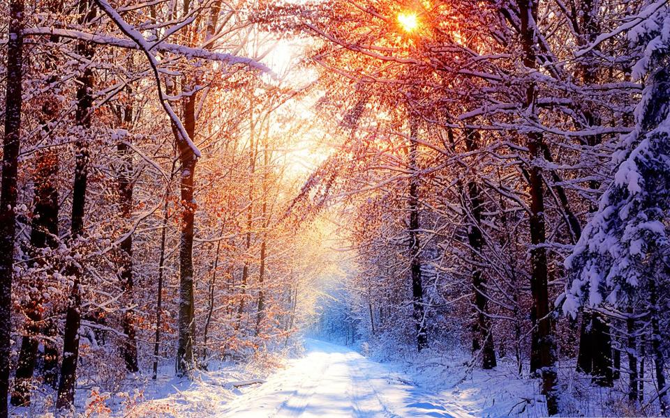 早晨冬天雪景图片桌面壁纸
