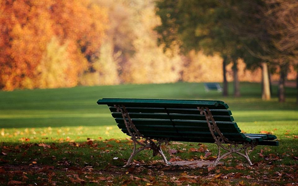 壁纸图片大全 唯美 > 秋天公园长椅风景桌面壁纸