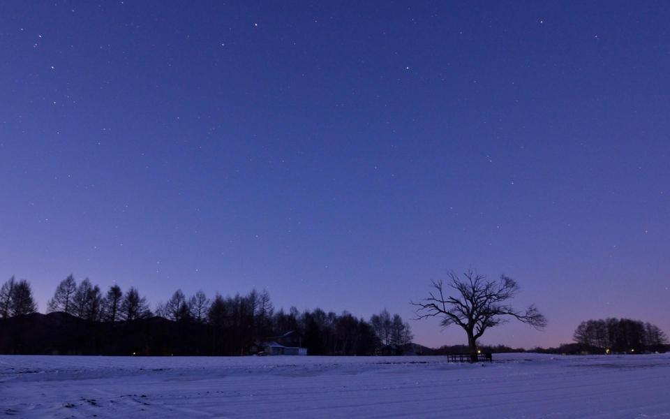 夜晚繁星下田野冬天雪景桌面壁纸
