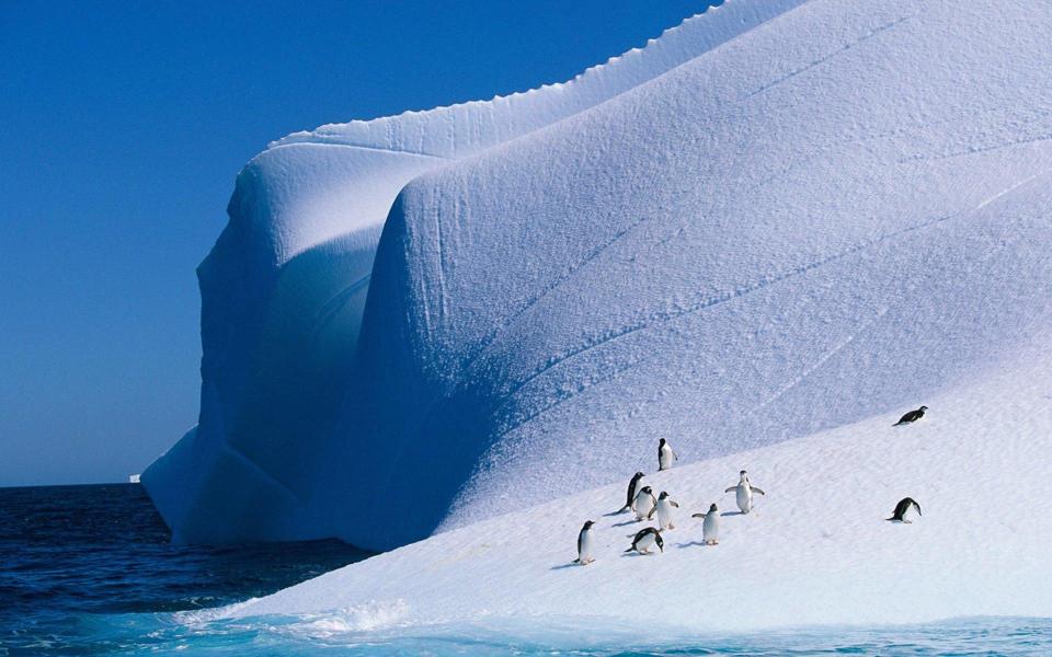 海面冰山企鹅高清电脑桌面壁纸
