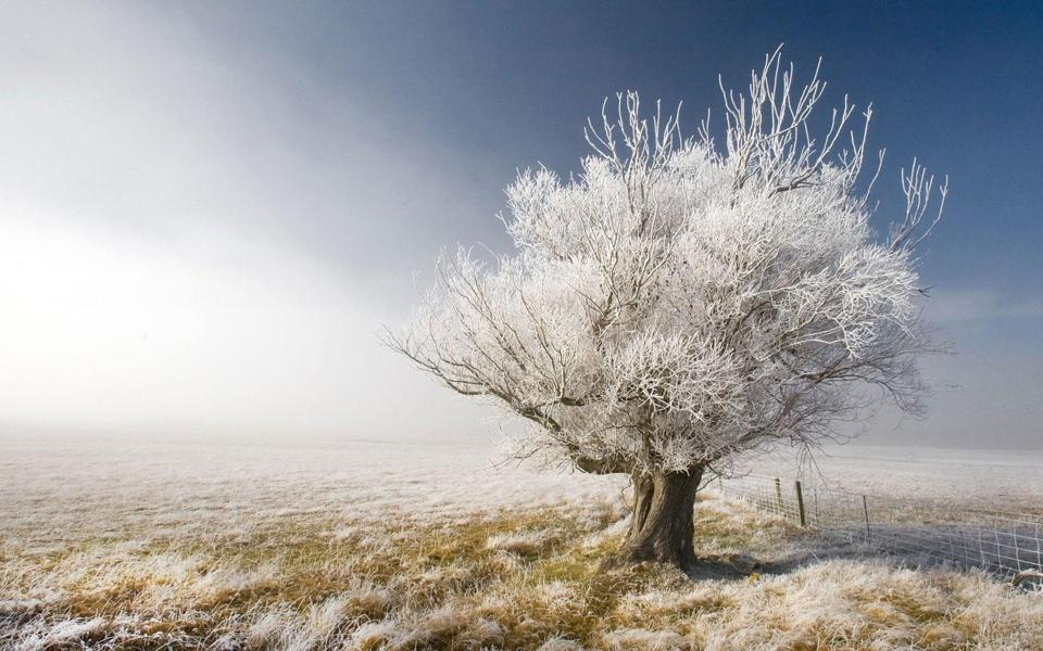 乡村雪景桌面壁纸