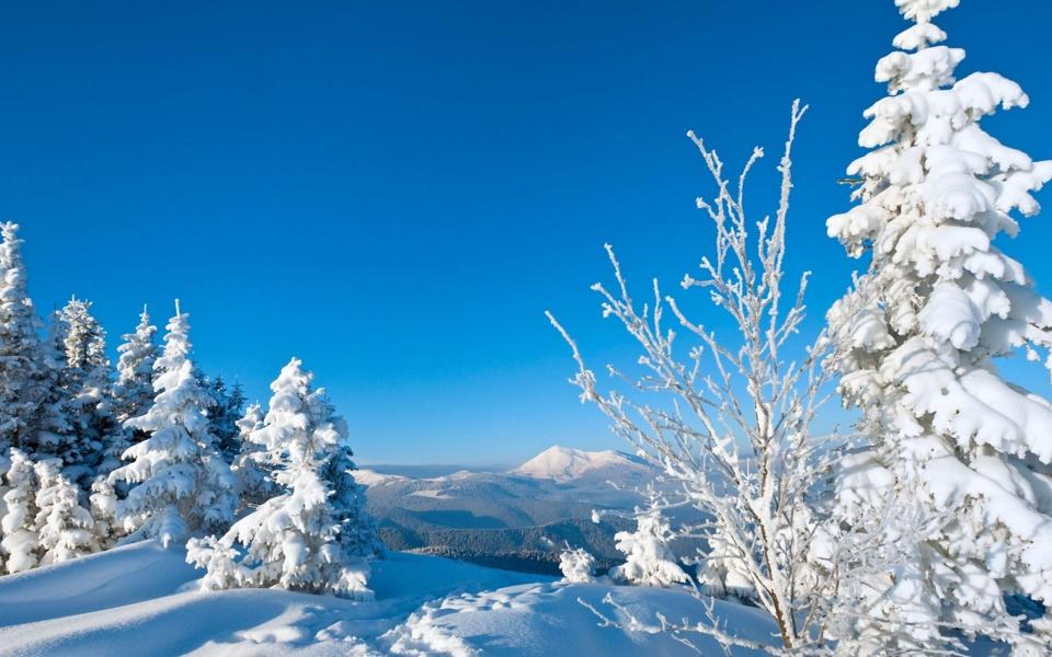 冬天山顶上美丽的雪景桌面壁纸