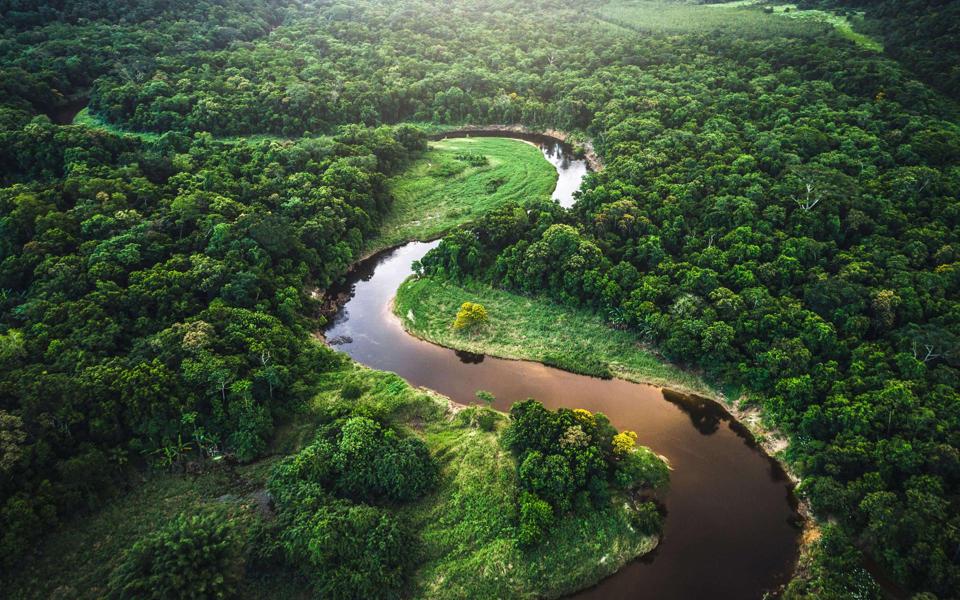 微软Win10丛林河流风景高清壁纸