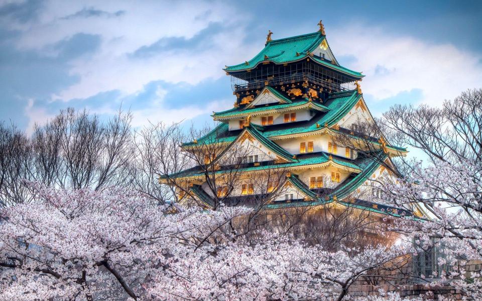 日本樱花高清风景壁纸