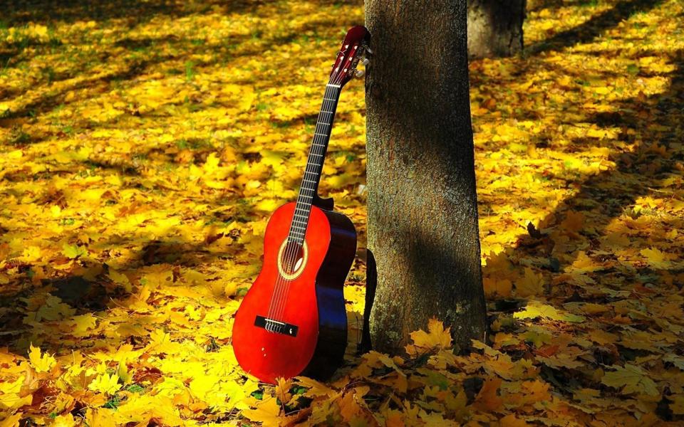 秋天枫林落叶吉他风景桌面壁纸