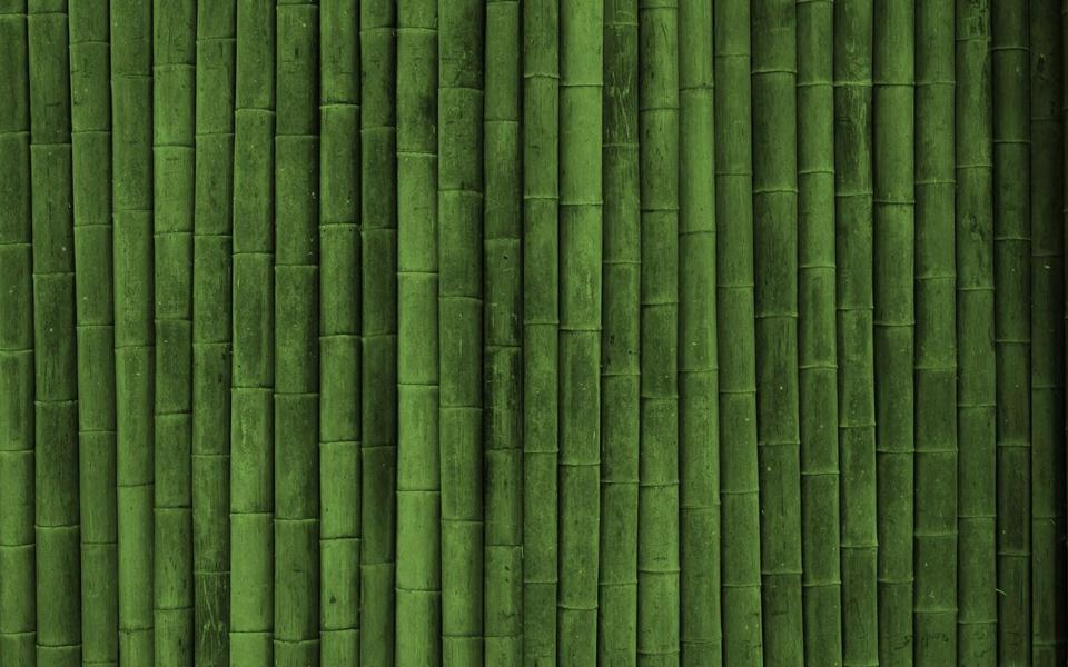 绿色竹子桌面背景