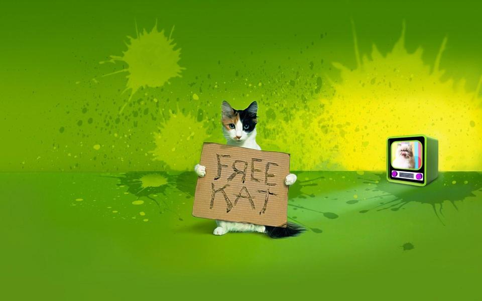自由的小猫咪个性桌面壁纸