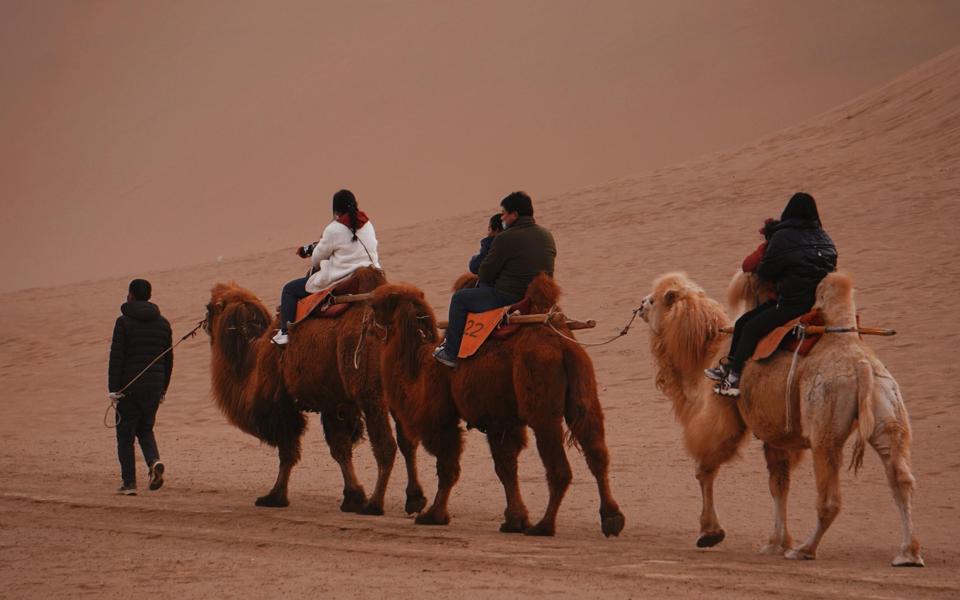 沙漠图片大全风景图片电脑壁纸