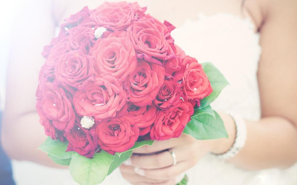 婚礼新娘手中的红色玫瑰花壁纸