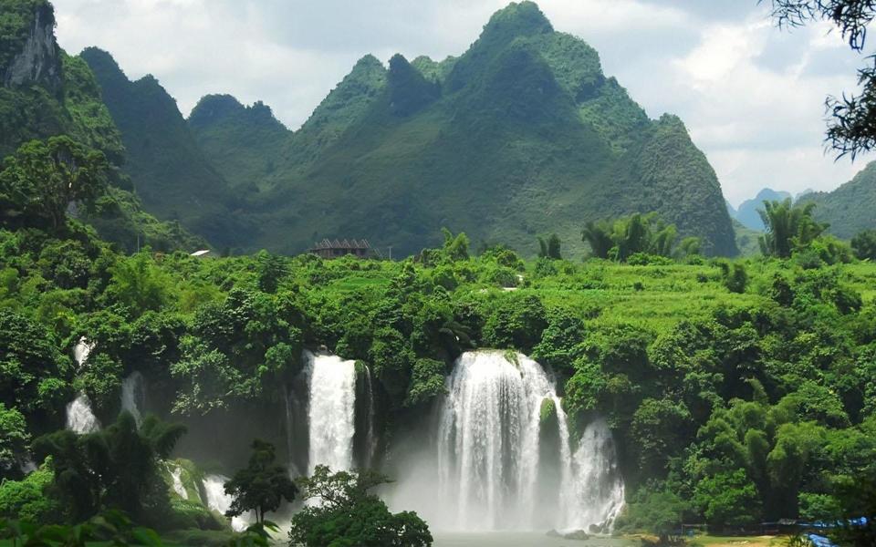 亚马逊热带雨林风景桌面壁纸