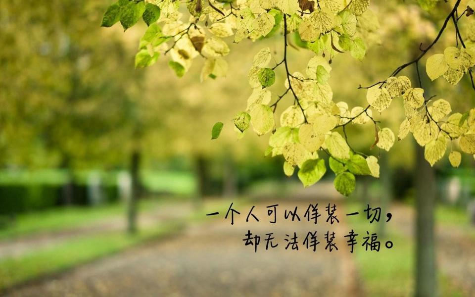 秋叶励志文字桌面壁纸