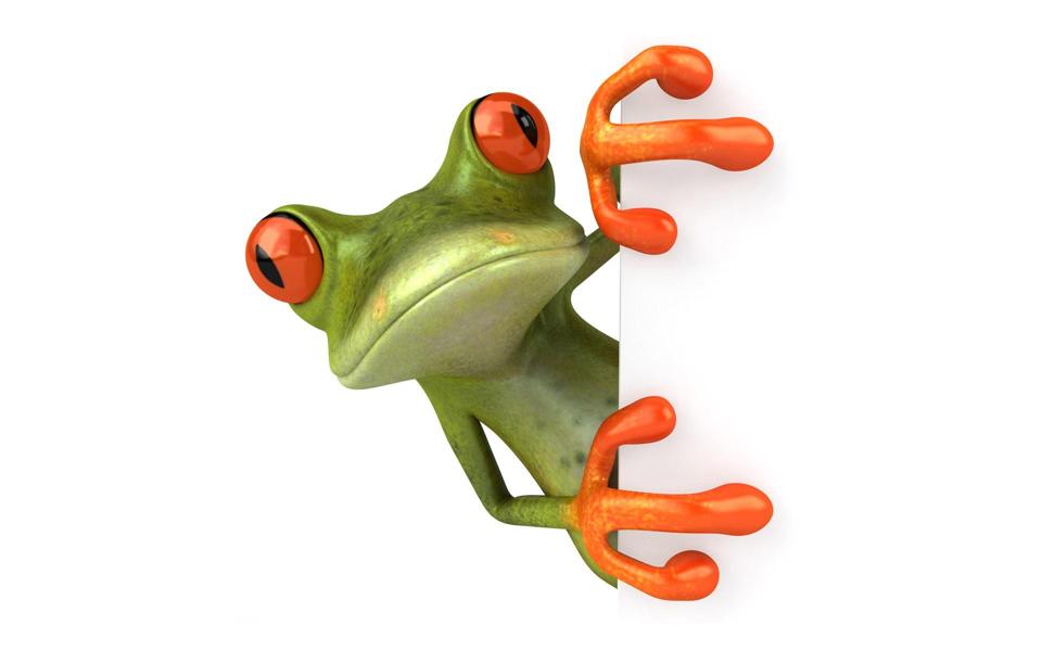3D青蛙高清桌面壁纸１