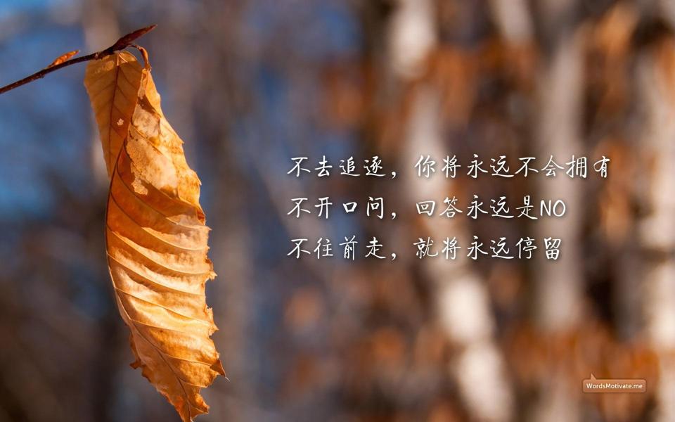 秋叶正能量励志文字壁纸