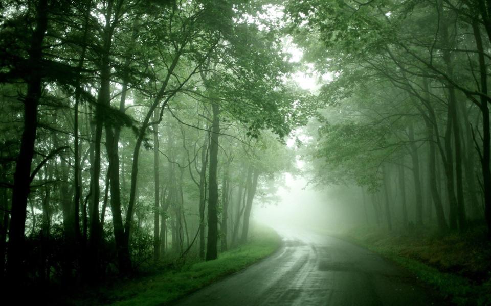 晨雾树林小道风景桌面壁纸