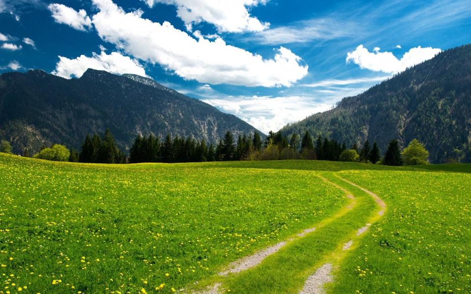 阿尔卑斯山草地道路风景桌面壁纸