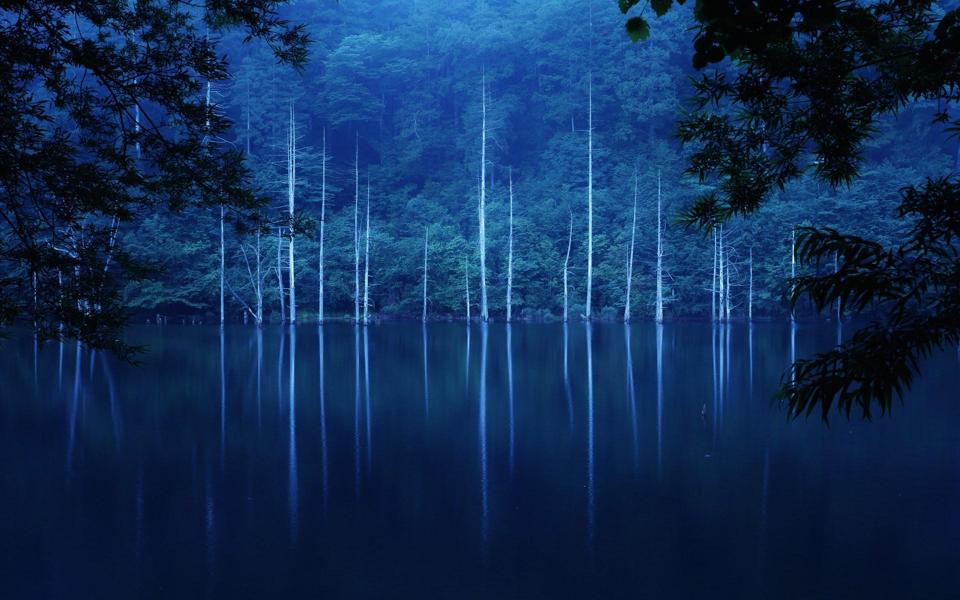 唯美的湖水森林自然风景高清壁纸