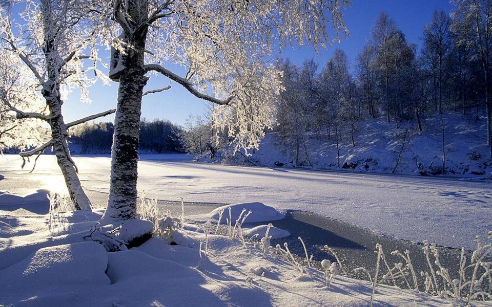 冬天雪景桌面背景图片