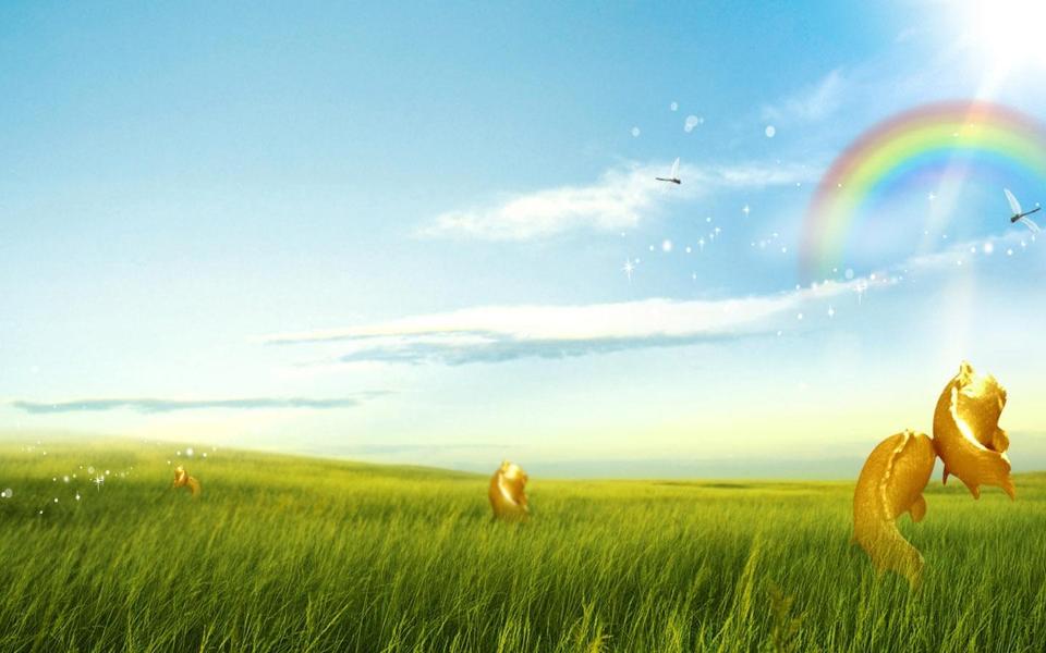 草原上的彩虹风景桌面壁纸