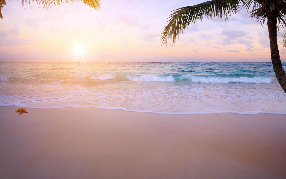 美丽的大海沙滩椰树自然风景高清图片大全