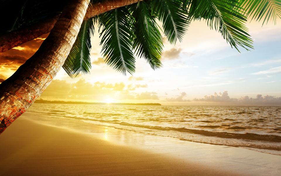 美丽的大海沙滩椰树自然风景高清图片大全