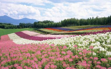 北海道風光高清風景電腦背景圖片