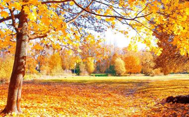 让人身心陶醉的秋天景色风景图片大全