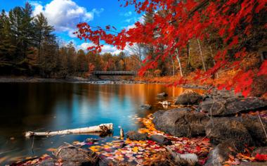 秋季湖边红叶壁纸高清风景图片