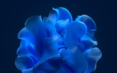 3d蓝色花瓣Windows11壁纸原图