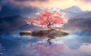 唯美湖中的花树唯美壁纸图片