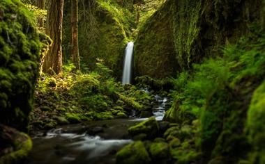 俄勒冈州原始森林中小溪瀑布绿色风景桌面壁纸